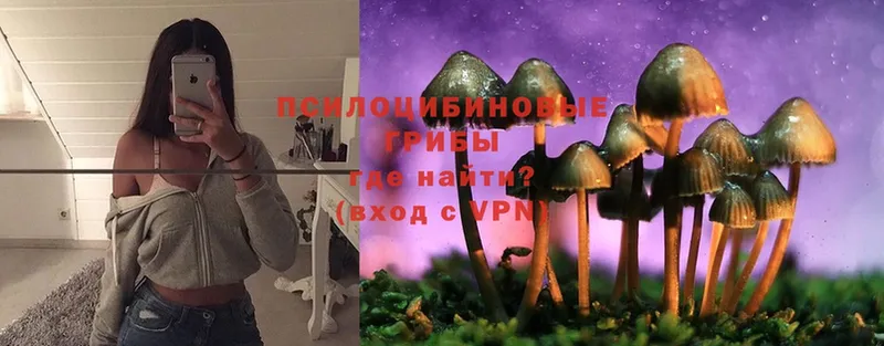 OMG   Пучеж  Псилоцибиновые грибы мухоморы 